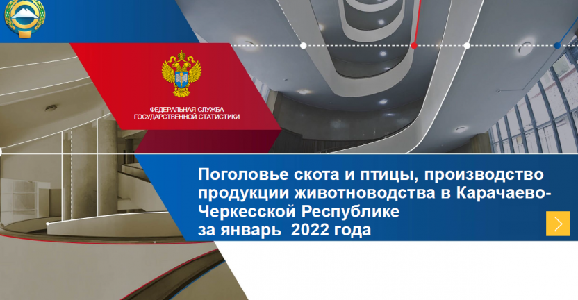 Поголовье скота и птицы, производство продукции животноводства в Карачаево-Черкесской Республике за январь 2022 года