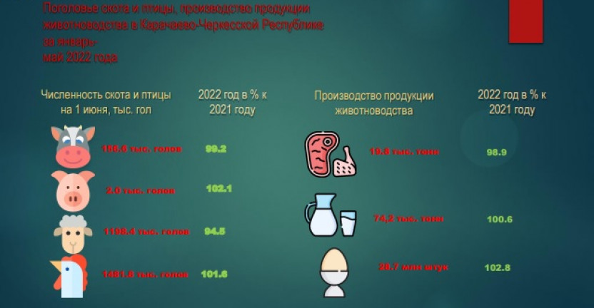 Поголовье скота и птицы, производство продукции животноводства в Карачаево-Черкесской Республике за январь-май 2022 года