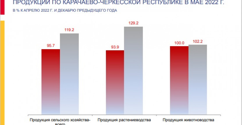 Индексы цен производителей сельскохозяйственной продукции по Карачаево-Черкесской Республике за май 2022 года