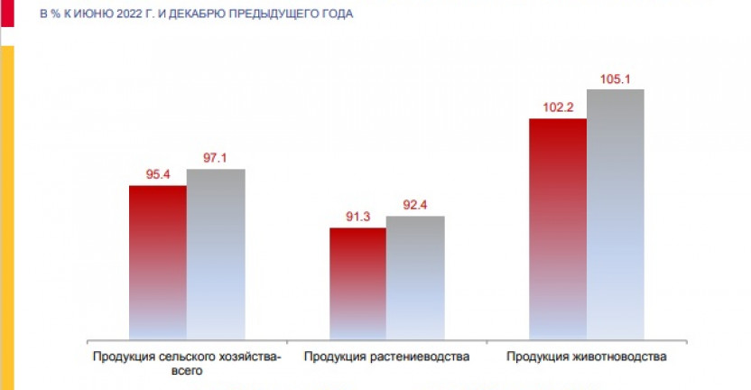 Индексы цен производителей сельскохозяйственной продукции по Карачаево-Черкесской Республике в июле 2022 года