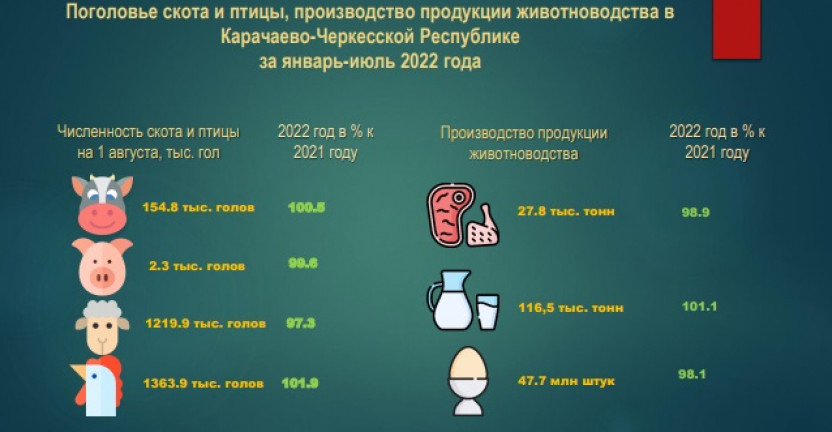Поголовье скота и птицы, производство продукции животноводства в Карачаево-Черкесской Республике за январь-июль 2022 года