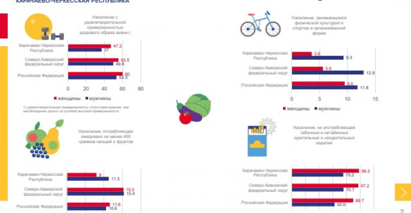 Итоги выборочного наблюдения состояния здоровья населения в Карачаево-Черкесской Республике