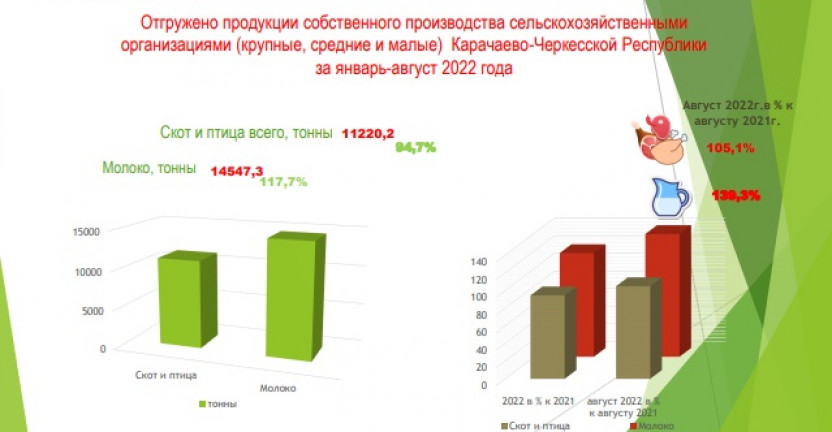 Отгружено продукции животноводства сельскохозяйственными организациями (крупные, средние и малые) Карачаево-Черкесской Республики за январь-август 2022 года