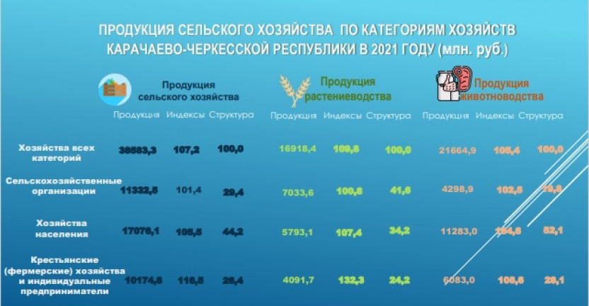 Продукция сельского хозяйства по категориям хозяйств Карачаево-Черкесской Республики в 2021 году