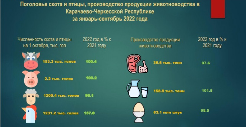 Поголовье скота и птицы, производство продукции животноводства в Карачаево-Черкесской Республике за январь-сентябрь 2022 года