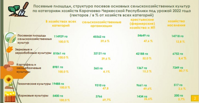 Посевные площади, структура посевов основных сельскохозяйственных культур по категориям хозяйств Карачаево-Черкесской Республики под урожай 2022 года